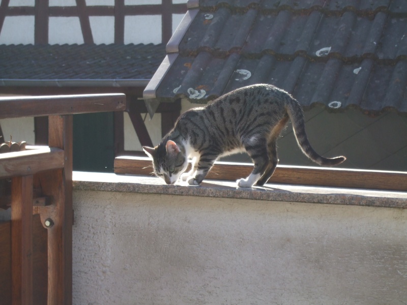 Ostern 2007 Orleshausen 061 